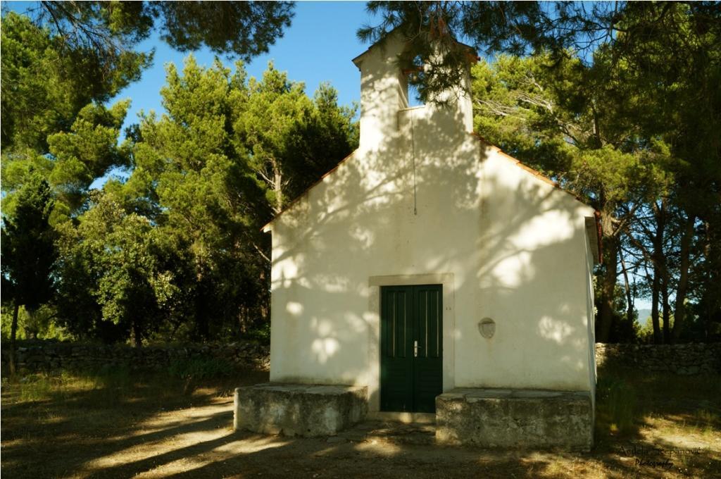 Apartment Vesna Vela Luka Eksteriør bilde